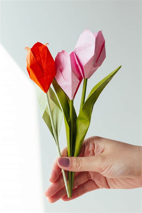 Origami Tulipano