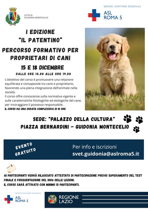 Infografica responsabilità proprietari cani