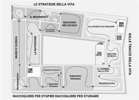 mappa stilizzata dei percorsi di visita di Palazzo Montecitorio