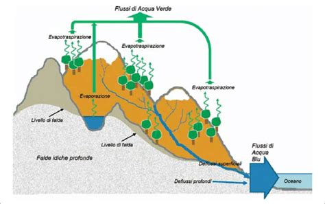 Infografica che confronta i minerali in diverse tipologie di acqua