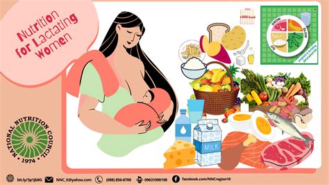 Healthy food plate for lactating mothers
