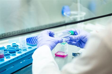 Laboratorio di ricerca con strumenti per colture cellulari