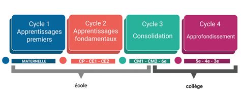 Schéma des cycles d'apprentissage en France