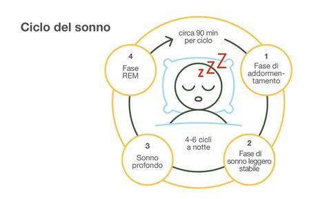 rappresentazione grafica dei cicli di sonno infantili