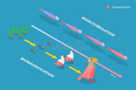 Illustrazione concettuale della differenza tra 