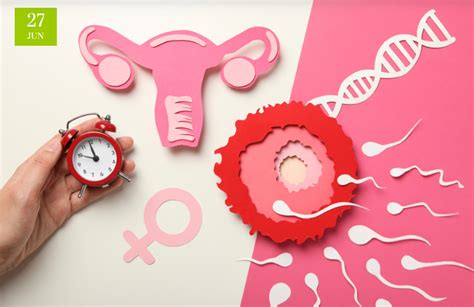 Infografica sui fattori che influenzano la fertilità femminile