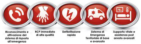 infografica della catena della sopravvivenza