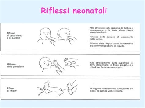 Sviluppo del riflesso di suzione nel neonato