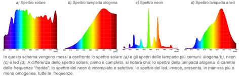 confronto spettro luce neon vs led per acquario