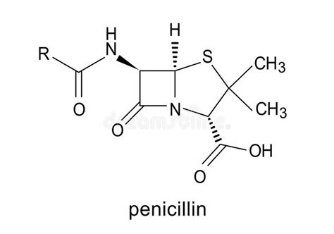 Struttura della Penicillina G