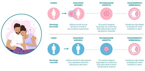 Infografica che mostra le percentuali di successo della fecondazione eterologa rispetto ad altre tecniche