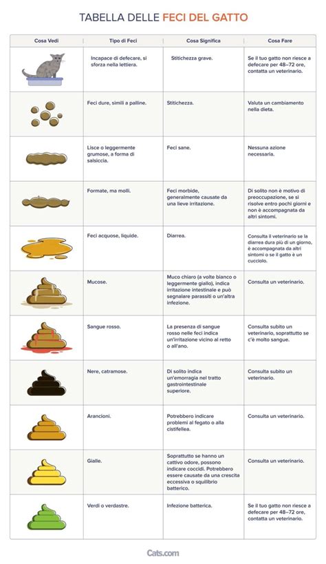 Gatto con feci verdi