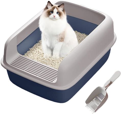 Gatto in lettiera