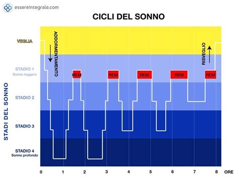 Cicli del sonno