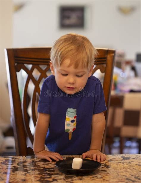 Bambino seduto in un seggiolino da tavolo che mangia felice