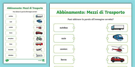 Infografica riassuntiva sulle regole di trasporto di bambini, passeggini e animali domestici