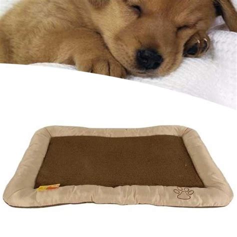 Vari tipi di cuscini ciuccio per gatti