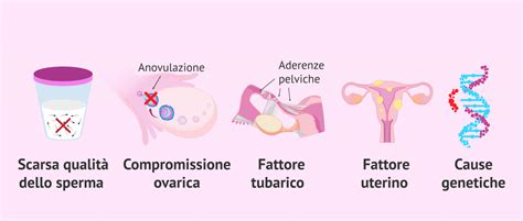 Strumenti per la ricerca delle cause di infertilità veterinaria