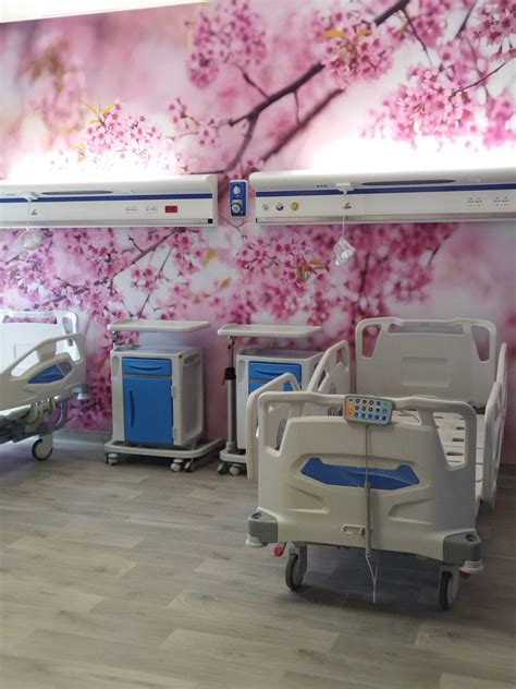 Infografica sui servizi offerti in un reparto di ostetricia