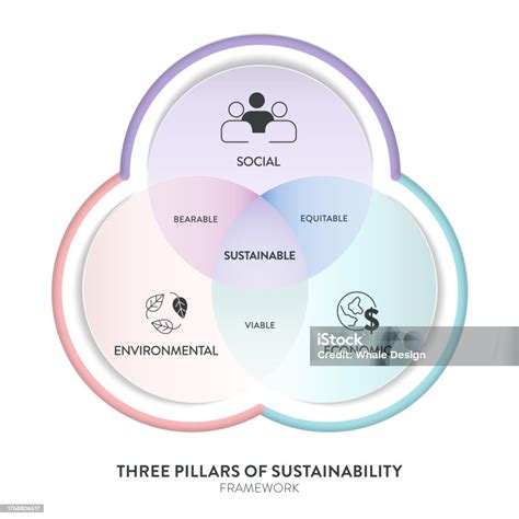 diagramma comparativo dello sviluppo papillare ruminale con diversi tipi di dieta (starter vs fibra)