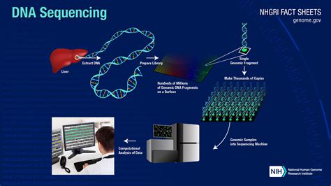 DNA sequencing technology