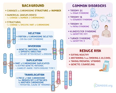 Chromosomal abnormalities infographic