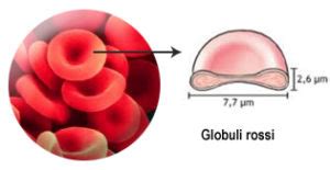 Microscopio che osserva globuli rossi nelle urine