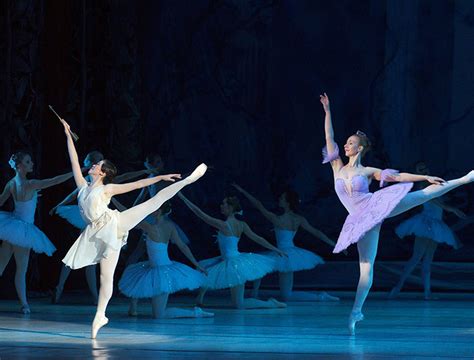 Infografica: Varianti di tute per diversi stili di danza (classica, moderna, jazz, contemporanea)
