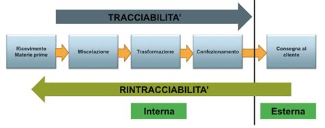 infografica sulle procedure di tracciabilità del materiale biologico nei centri di PMA