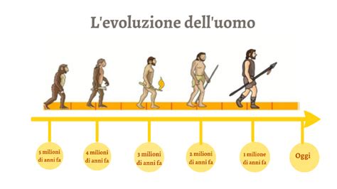 schema dell'evoluzione fetale e sviluppo tecnologico
