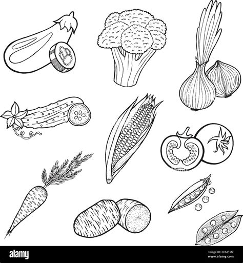 Illustrazione di alimenti vegetali per bambini