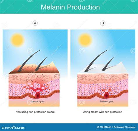 Schema produzione melanina occhio