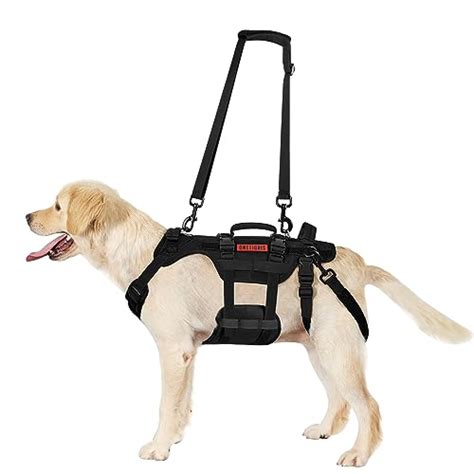 Cane con imbracatura di supporto alla mobilità