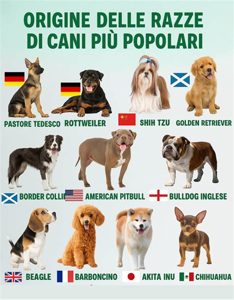 Mappa delle origini del Golden Retriever in Scozia