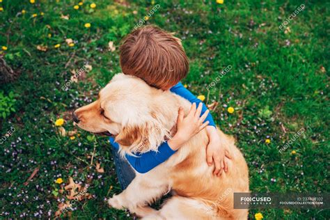 Golden Retriever gioca con un bambino