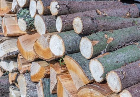 Dettaglio del materiale in legno naturale e protezioni sui bordi del vassoio
