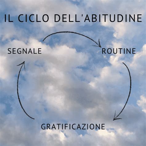 grafico che illustra le abitudini sane durante il ciclo