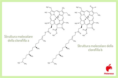 struttura molecolare 2'-fucosillattosio e benefici intestinali