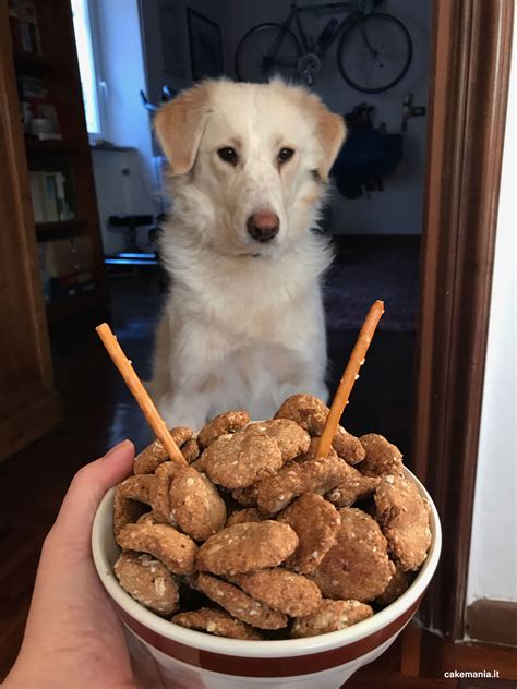 Cane che mangia biscotti fatti in casa