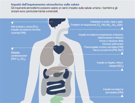 Effetti dell'inquinamento atmosferico sulla fertilità