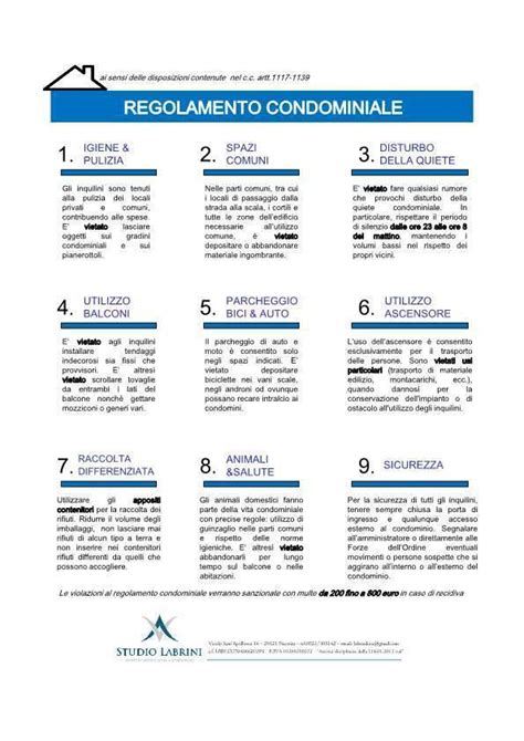 infografica sulle regole di comportamento per proprietari di cani in spiaggia