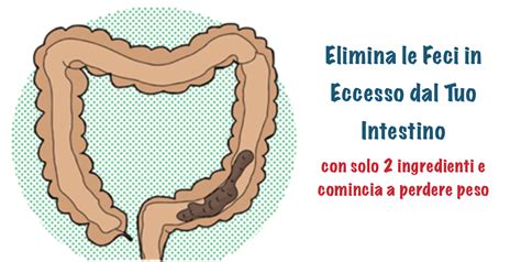 Illustrazione che mostra il colon con feci dure e il processo di assorbimento dell'acqua