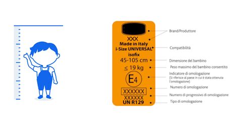 mappa delle diverse classi di seggiolini basate su altezza e peso
