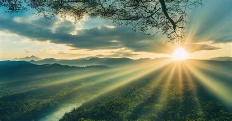 paesaggio naturale armonioso immerso nella luce del mattino
