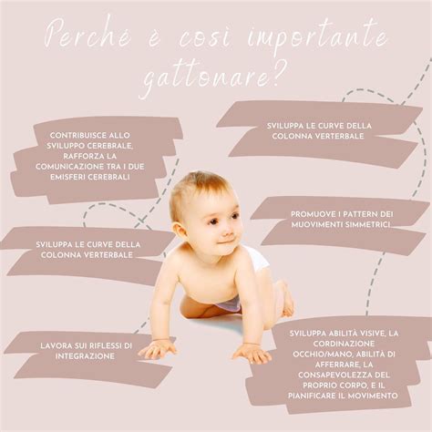 infografica sui benefici del gattonamento per lo sviluppo cerebrale