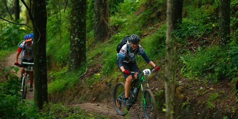 Bambino su mountain bike in un bosco