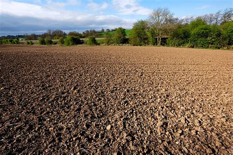 rappresentazione simbolica di un terreno fertile contrapposto a uno incolto, metafora della mente umana
