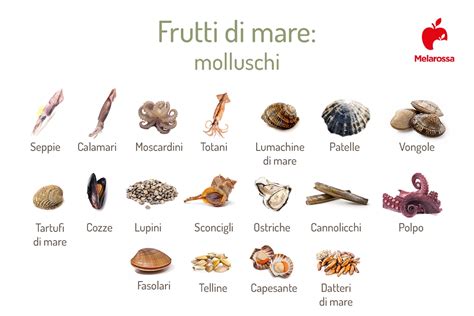 Infografica sui benefici del pesce e dei frutti di mare durante l'allattamento