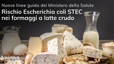 Infografica sui batteri pericolosi nei formaggi a latte crudo