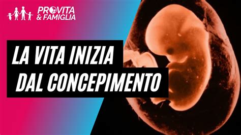 Dignità della vita dal concepimento
